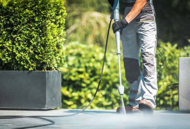 Best Spring Cleaning  in Nicholls, GA