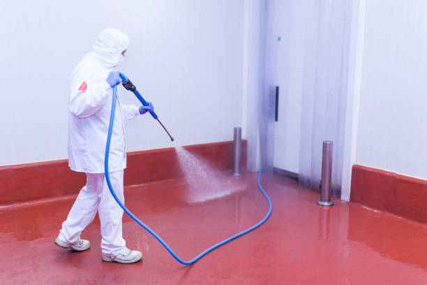 Best House Exterior Washing  in Nicholls, GA